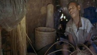 Africa: Voices of the Forest