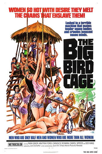 The Big Bird Cage 在线观看和下载完整电影