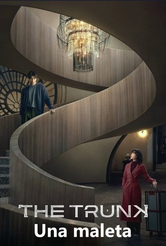 Una maleta S01E08