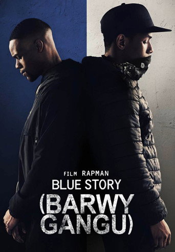 Okładka filmu Barwy gangu