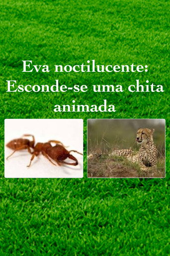 Eva noctilucente: Esconde-se uma chita animada 在线观看和下载完整电影
