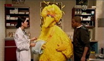 Wing in a Sling episode still image