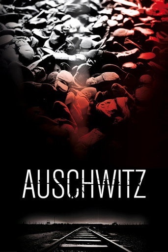 Okładka filmu Auschwitz