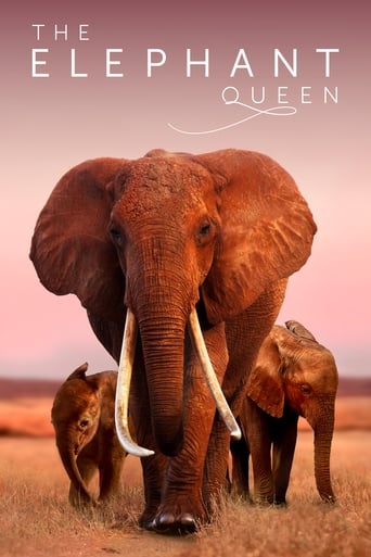 Watch The Elephant Queen (2019) Fmovies