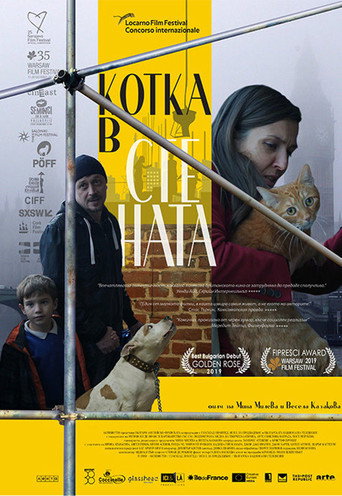 Okładka filmu Kot w ścianie