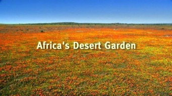 Africa's Desert Garden