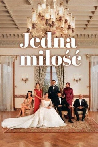 Okładka serialu Jedna miłość