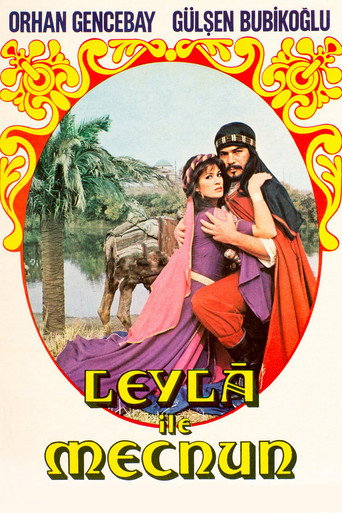 Okładka filmu Leyla ile Mecnun