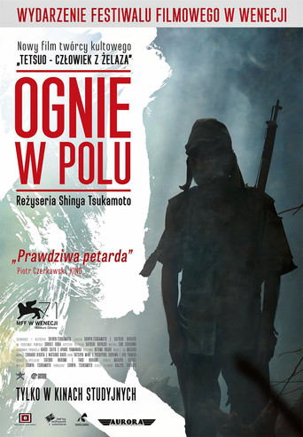 Okładka filmu Ognie w polu