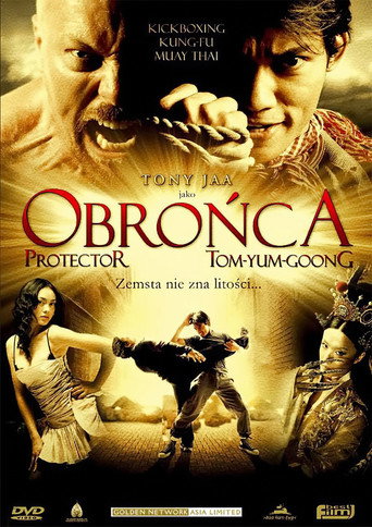 Okładka filmu Obrońca