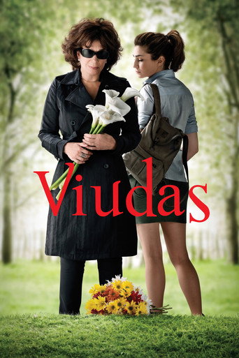 Okładka filmu Viudas