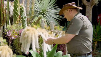 Episode 17 Habitat, Camellia, Seedling, Herbs & Collector