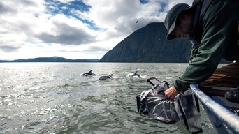 Making The Wild Canadian Year