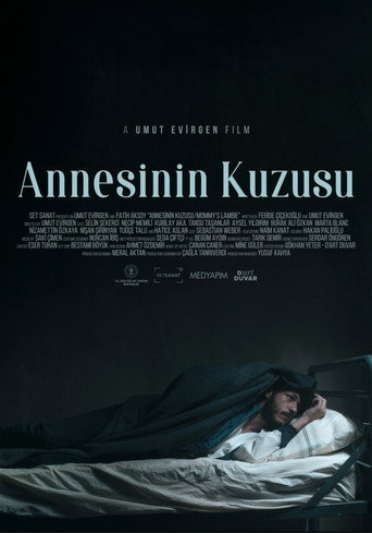 Okładka filmu Annesinin Kuzusu