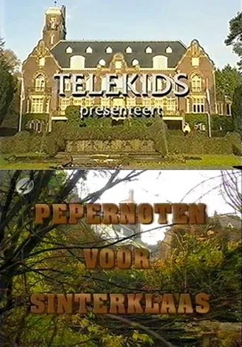 Pepernoten voor Sinterklaas