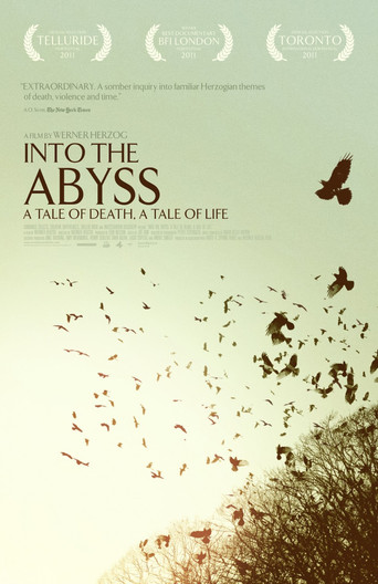 Into the Abyss 在线观看和下载完整电影