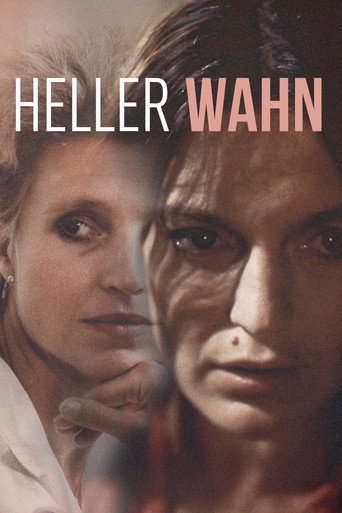 Okładka filmu Heller Wahn