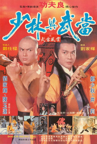 Okładka filmu 少林与武当