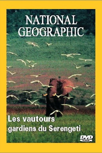 National Geographic : Les Vautours, gardiens du Serengeti 在线观看和下载完整电影