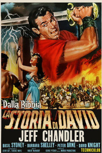 A Story of David 在线观看和下载完整电影