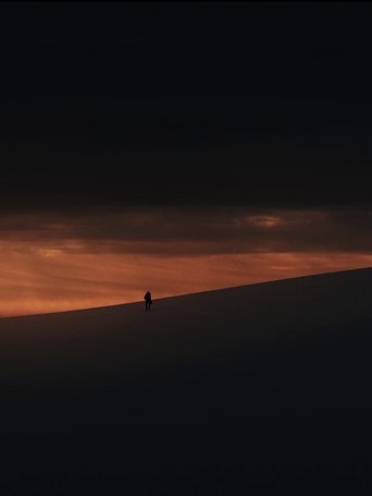 Dove gli Alberi non Parlano