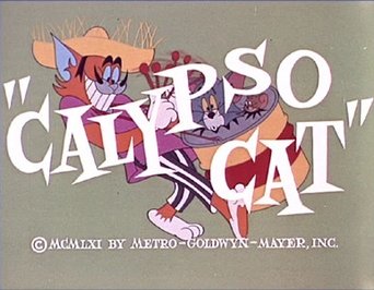 Calypso Cat