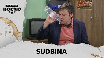 2313 Sudbina