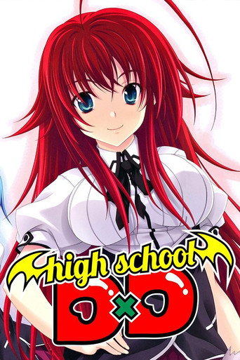 Okładka serialu High School DxD