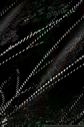 Cyclothymia of a Land
