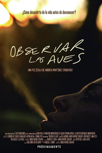 Observar las aves 在线观看和下载完整电影