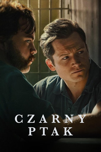 Okładka serialu Czarny ptak