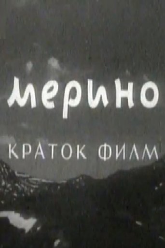 Merino