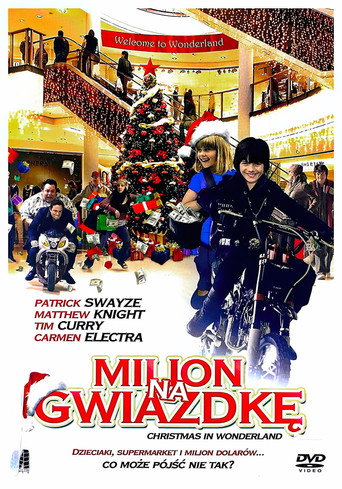 Okładka filmu Milion na gwiazdkę
