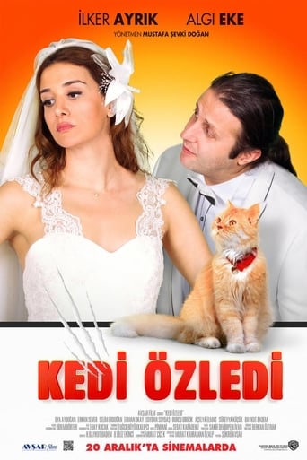 Kedi Özledi 在线观看和下载完整电影