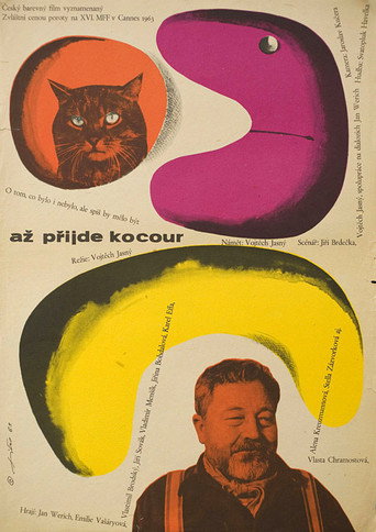 Až přijde kocour 在线观看和下载完整电影