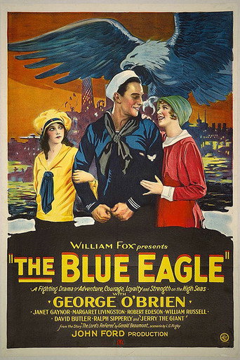 Okładka filmu The Blue Eagle