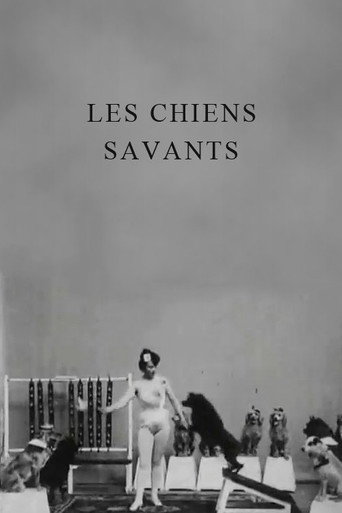 Les chiens savants 在线观看和下载完整电影