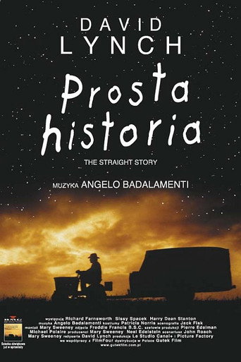 Okładka filmu Prosta historia