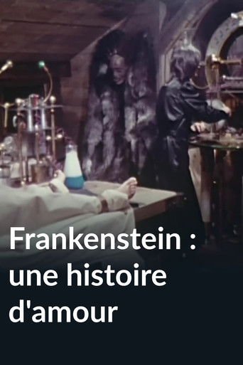 Frankenstein: A Love Story