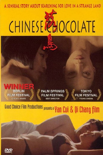 Chinese Chocolate 在线观看和下载完整电影