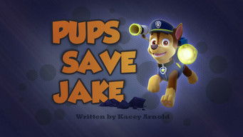 Pups Save Jake