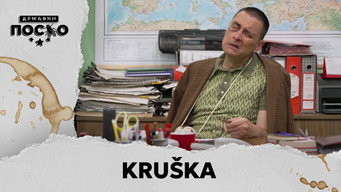 2372 Kruška
