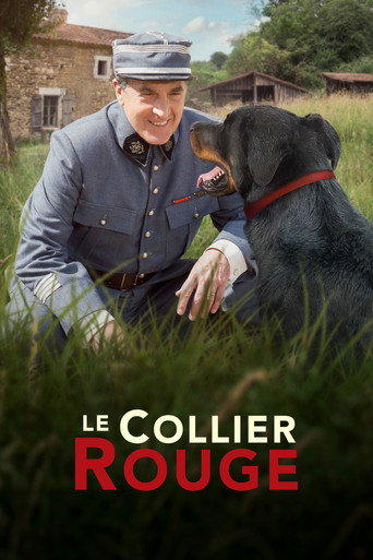 Okładka filmu Czerwona obroża