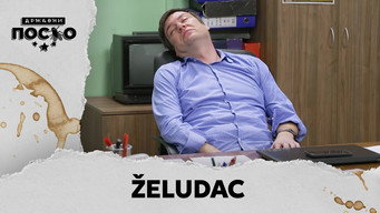 2302 Želudac