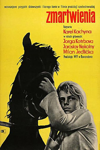 Okładka filmu Trápení