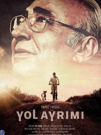 Okładka filmu Yol Ayrımı