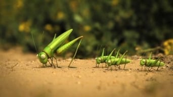 The grasshopper who didn't know how to leap