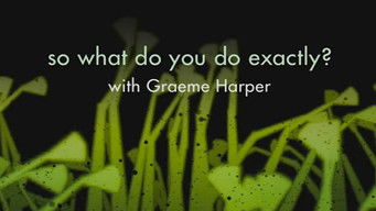 So What Do You Do Exactly?