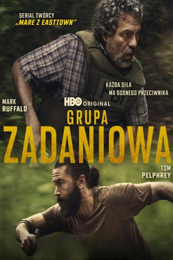 Okładka serialu Grupa zadaniowa