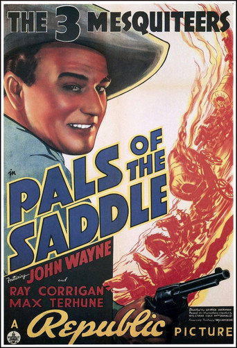 Pals of the Saddle 在线观看和下载完整电影